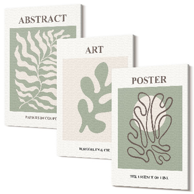Sada obrazů na zeď triptych Plakáty s květinovými vzory od Henriho Matisse