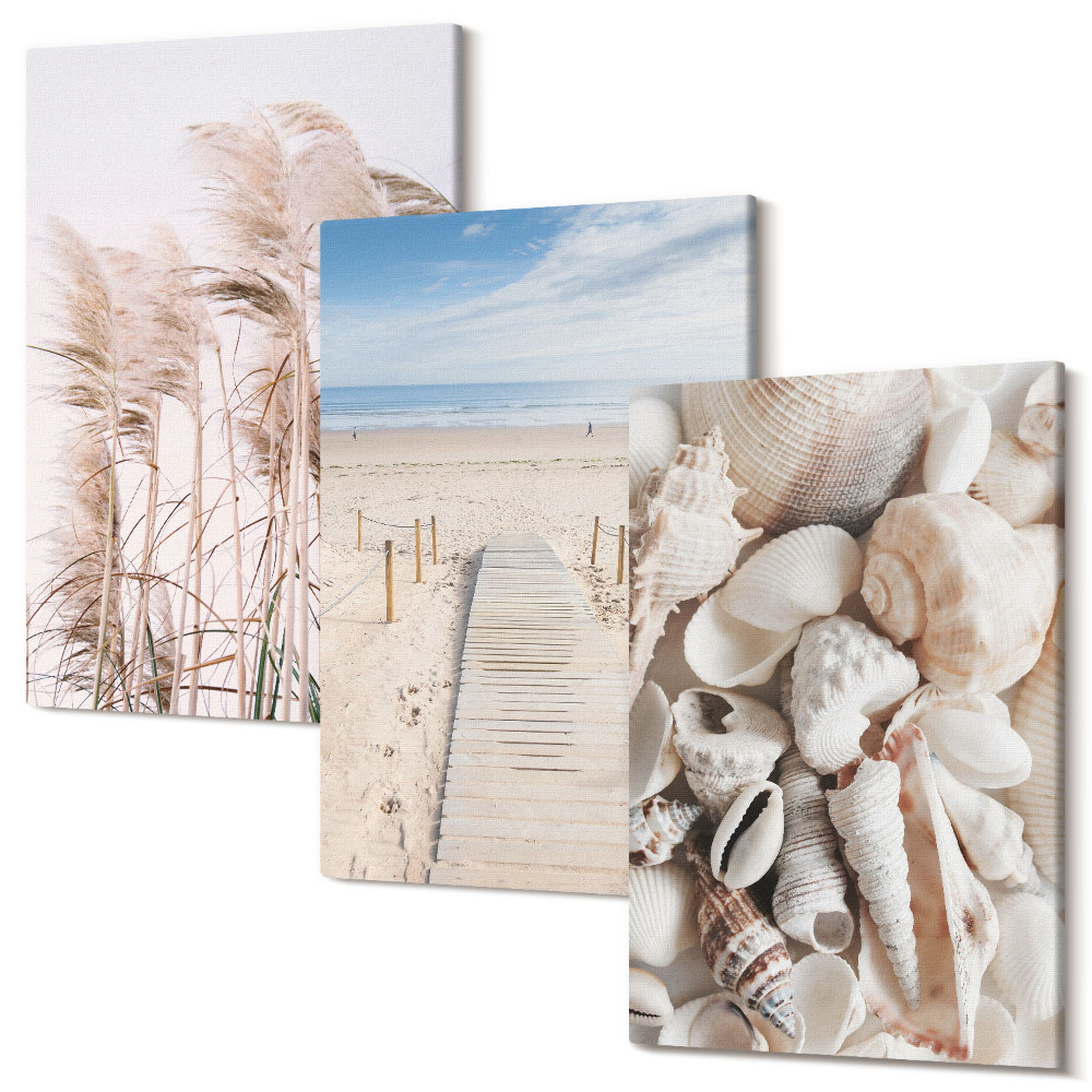 Sada 3 obrazů Písečná pláž s mušlemi a mořskou trávou