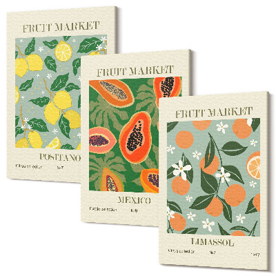 Sada 3 obrazů Ovocné plakáty citrony papája květy mandarinek