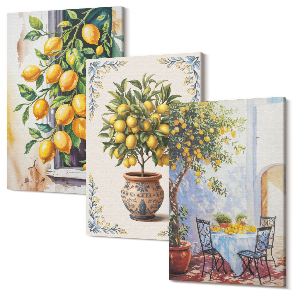 Sada obrazů na zeď triptych Citronové stromy a ovoce ve slunečném prostředí