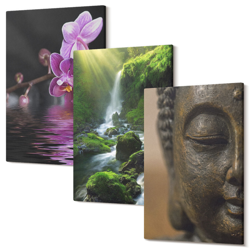 Sada 3 obrazů Květiny ve vodopádu se zelenými kameny Buddha