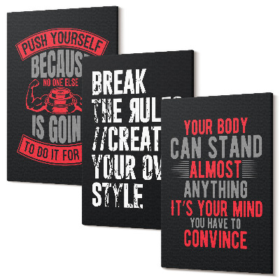 Sada obrazů triptych Motivace pro trénink a seberozvojová hesla