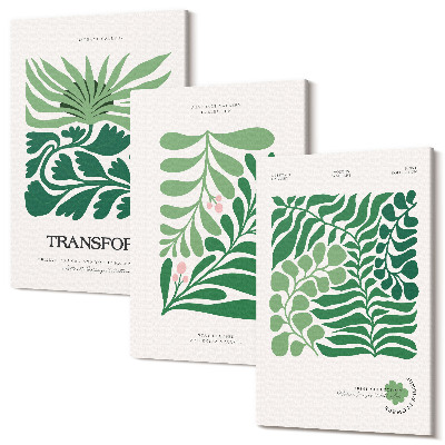 Sada obrazů triptych Sada zelených listů a rostlin v různých tvarech