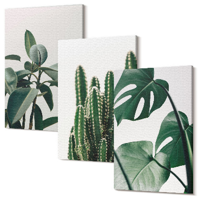 Sada 3 obrazů Tropické pokojové rostliny estetické listy
