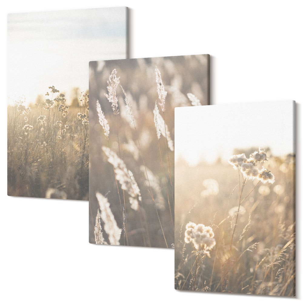 Sada obrazů triptych Krajina s trávami a květinami v teplých odstínech