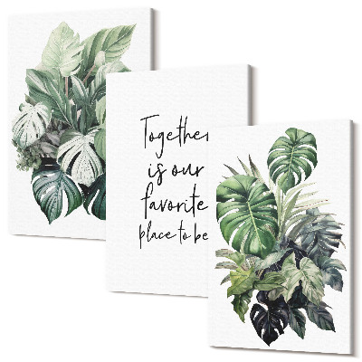 Sada obrazů na zeď triptych Zelené listy tropických rostlin s dekorativním nápisem