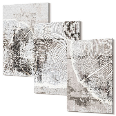 Sada obrazů na zeď triptych Vzory dřeva v odstínech šedé a bílé