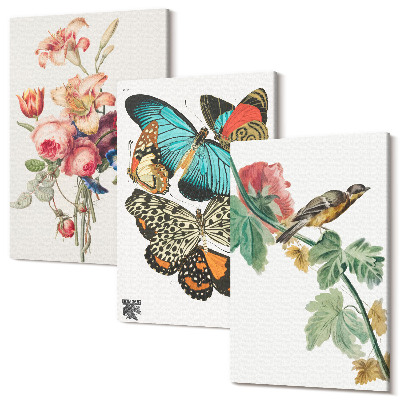 Sada 3 obrazů Květiny, motýli a pták v pastelových odstínech