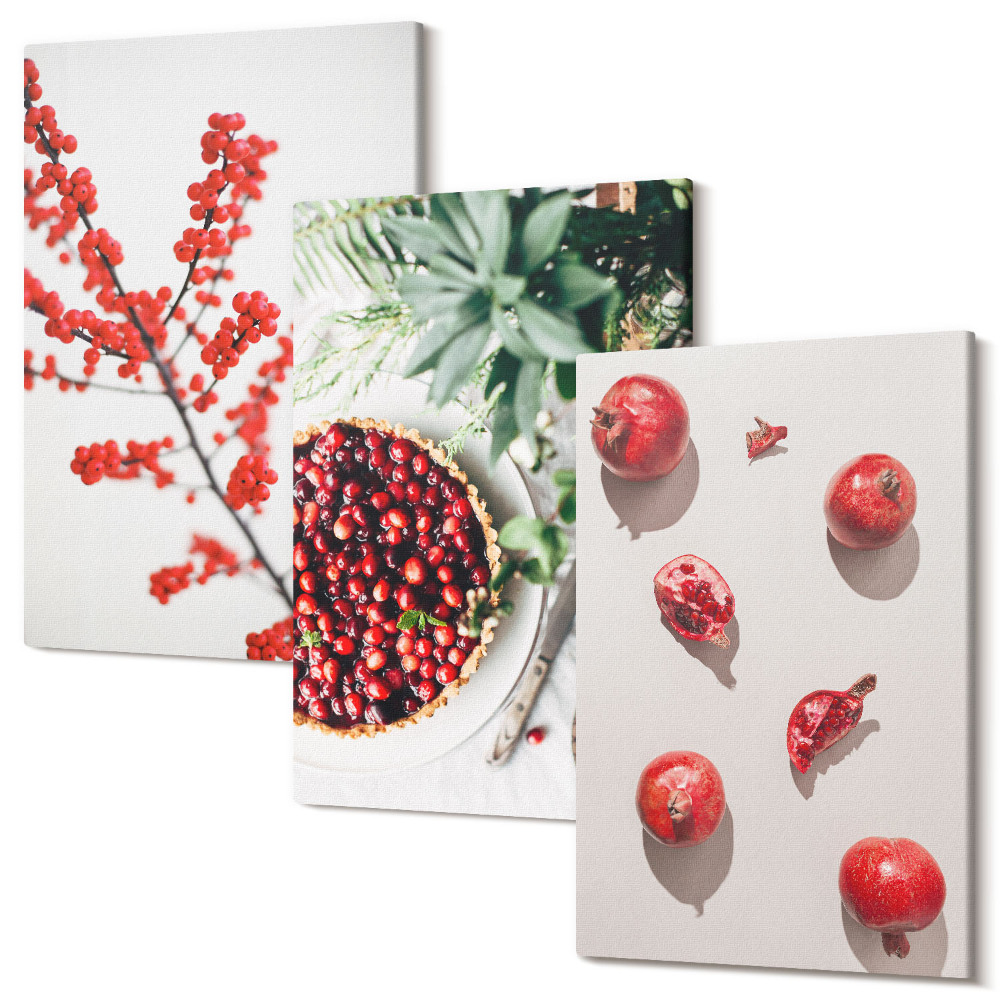 Sada 3 obrazů Červené ovoce a rostliny v minimalistickém stylu