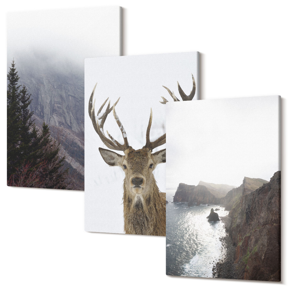 Sada obrazů triptych Horská krajina s mlhou, vodou a jeleny