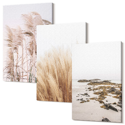 Sada obrazů na zeď triptych travnatá pole pampy a pláž boho