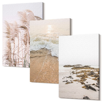 Sada 3 obrazů Plážové travnaté vlny a přímořské kameny boho