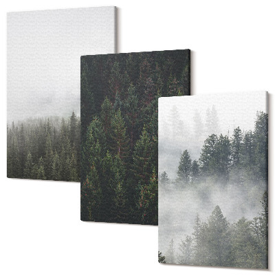 Sada obrazů na zeď triptych Zelené lesy v mlhavém přírodním prostředí