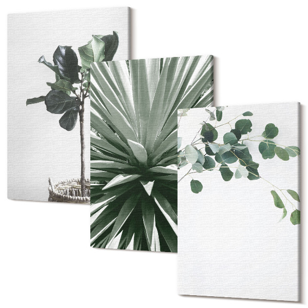 Sada obrazů triptych Zelené rostliny v minimalistickém stylu