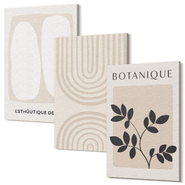 Sada obrazů triptych Boho jemné plakáty s abstraktními rostlinnými motivy