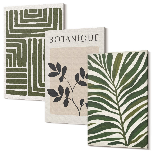 Sada obrazů triptych Botanické kompozice ve stylu boho minimalismu
