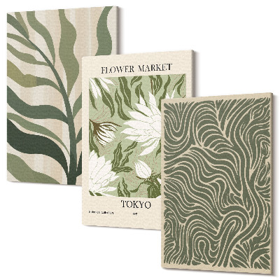 Sada obrazů triptych Rostlinné vzory, botanické dekorace, boho styl