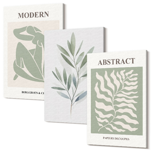 Sada 3 obrazů Matisse design akvarel boho rostliny