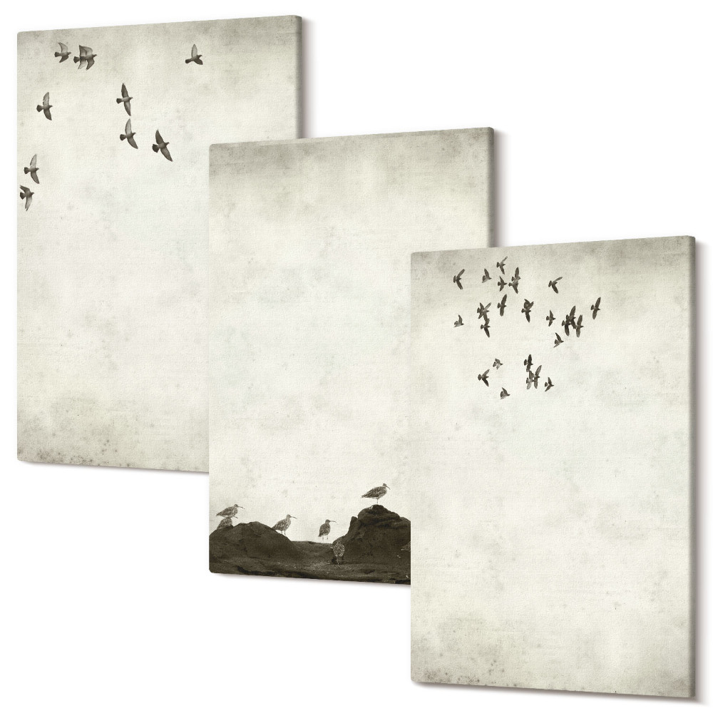 Sada obrazů na zeď triptych Létající hejno ptáků v minimalistickém stylu