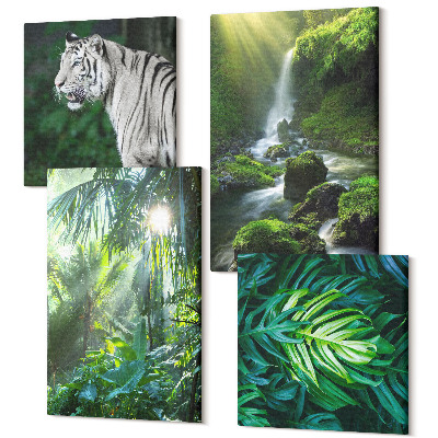 Sada obrazů kvadryptych Džungle s bílým tygrem a divokým vodopádem