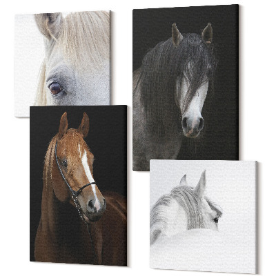 Sada 4 obrazů Portréty koní v různých odstínech srsti