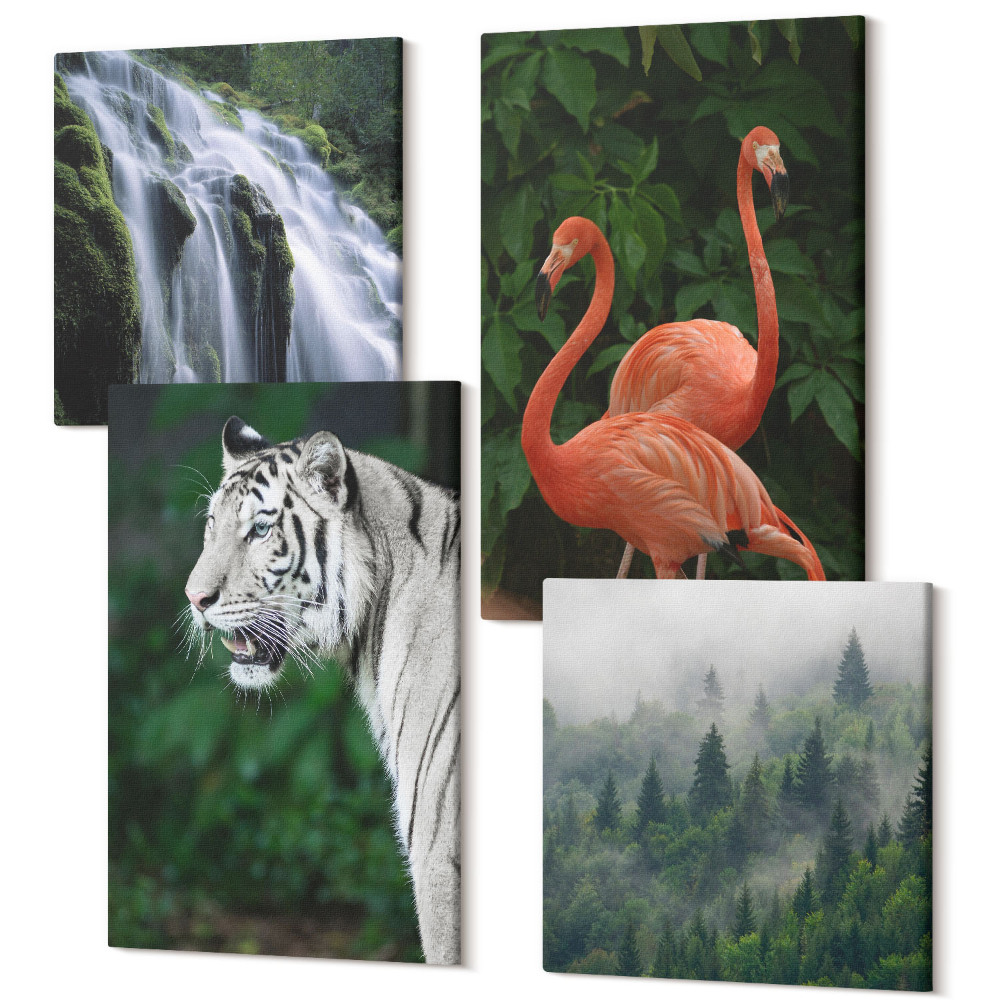 Sada 4 obrazů Tygří vodopád a růžoví plameňáci v přírodě
