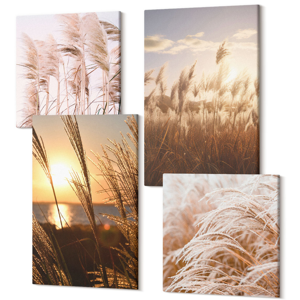 Sada 4 obrazů Jemné trávy boho pole při západu slunce
