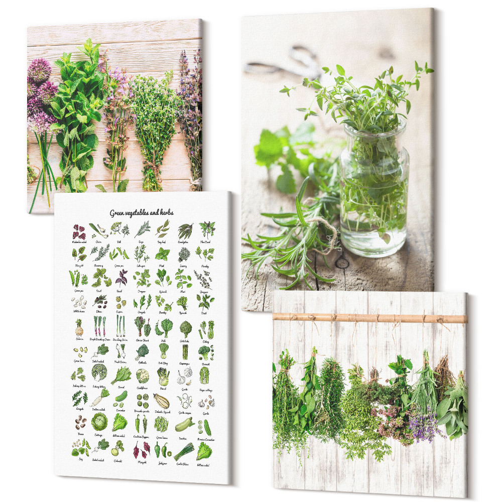Sada 4 obrazů Sušené rostliny pro seznam kuchyňských bylinek