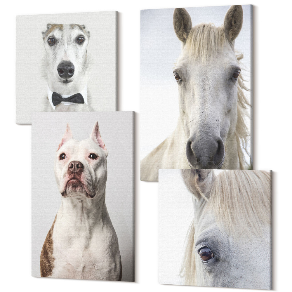 Sada obrazů kvadryptych Zajímavé portréty psů a koní v elegantním stylu