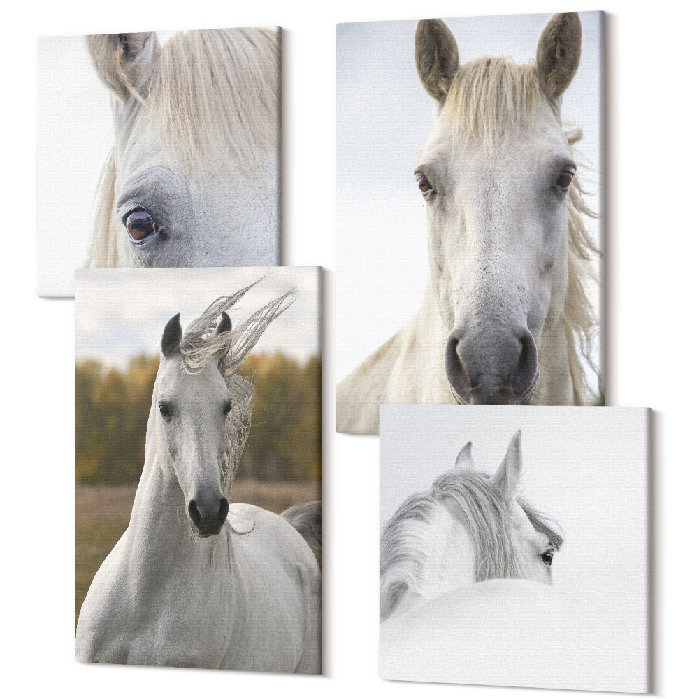 Sada obrazů kvadryptych Bílí koně v různých pózách proti přirozenému pozadí