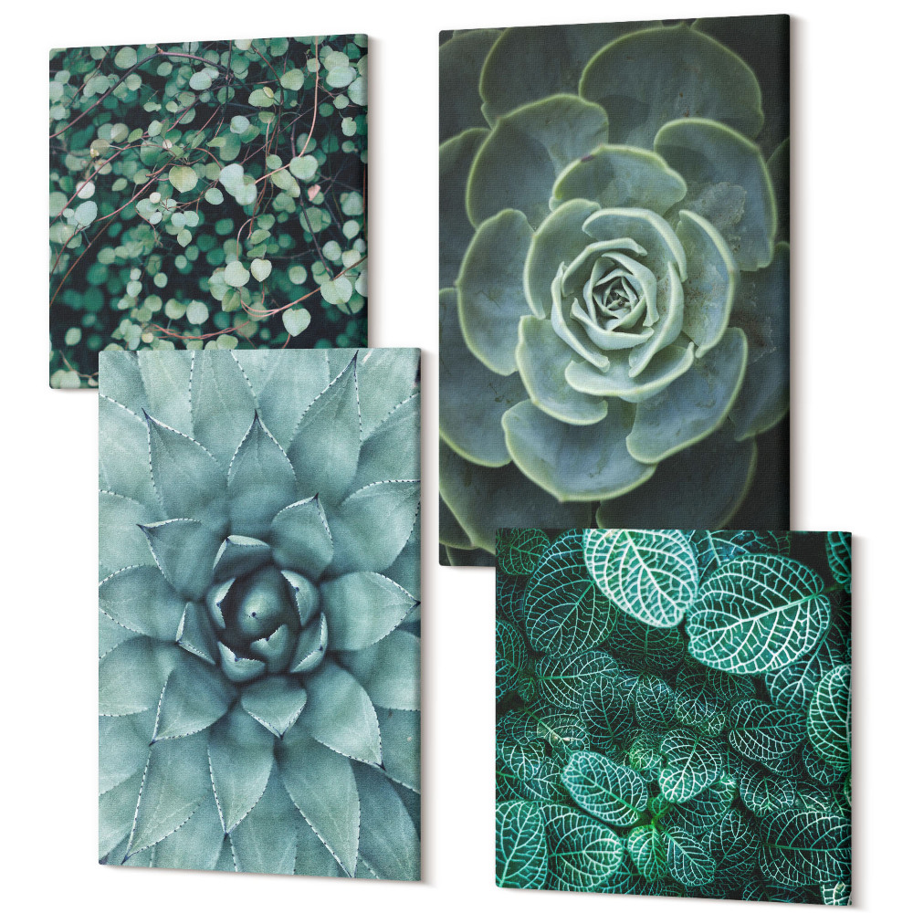 Sada obrazů kvadryptych Sukulentní rostliny v odstínech zelené a tyrkysové