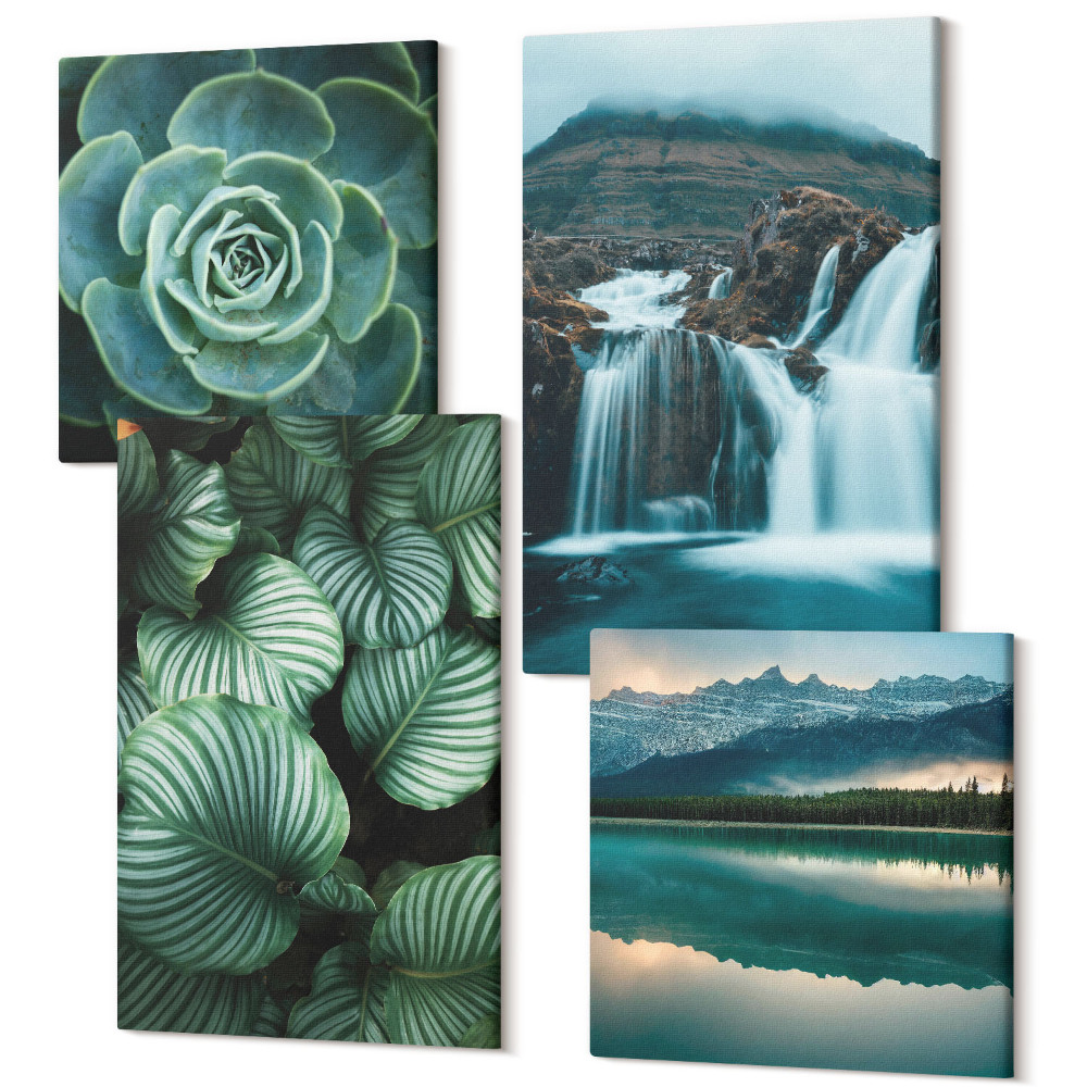 Sada obrazů na zeď kvadryptych Detailní záběry sukulentních rostlin a listů