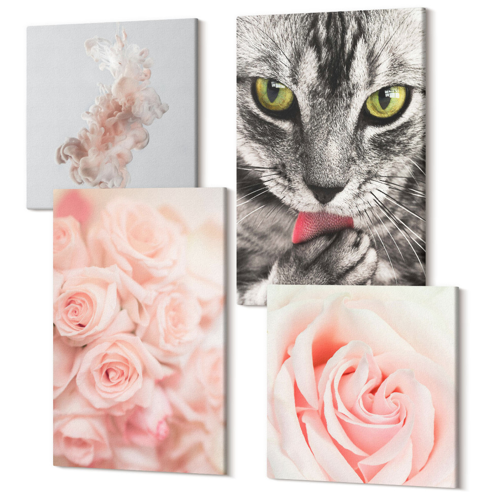 Sada obrazů kvadryptych Šedá kočka jemné růže jemné abstrakce