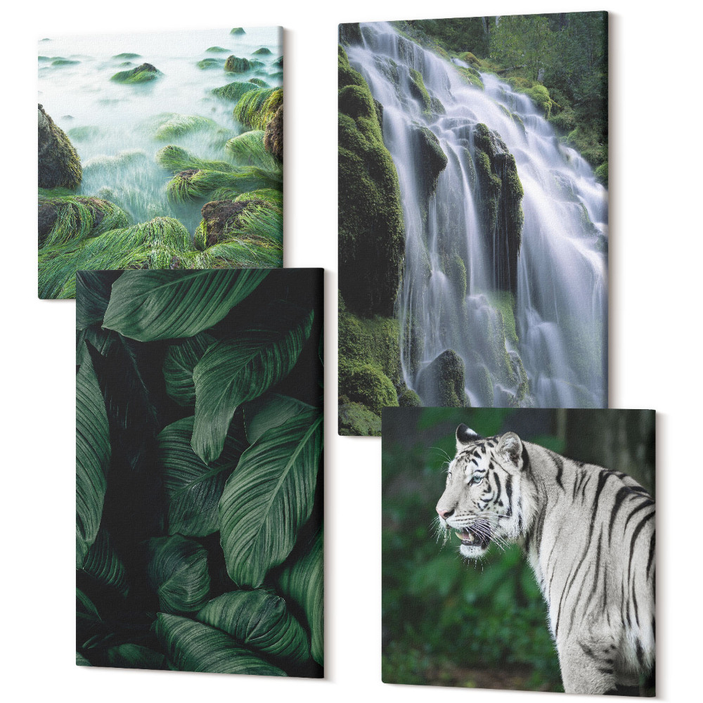 Sada obrazů kvadryptych Listy bílého tygra a vodopád v přírodním prostředí