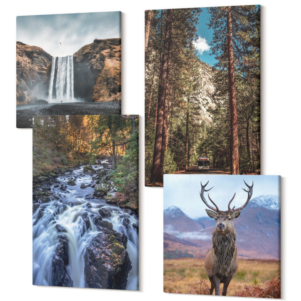 Sada 4 obrazů Vodopád v lese, hory a jeleni v přírodě