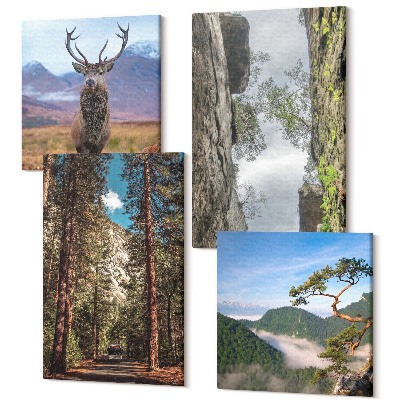 Sada obrazů kvadryptych Cesta v lese, hory a jeleni v přírodě