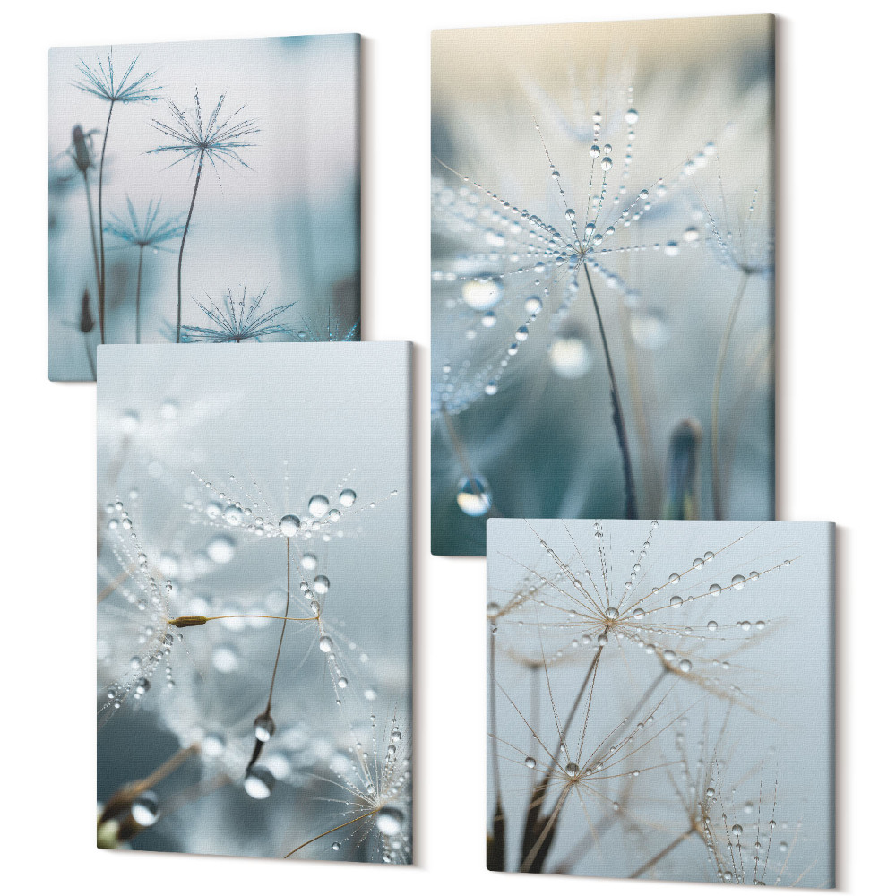 Sada 4 obrazů Kapky rosy na jemných pampeliškách