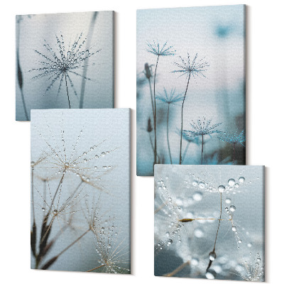 Sada obrazů kvadryptych Jemné pampelišky s kapkami vody