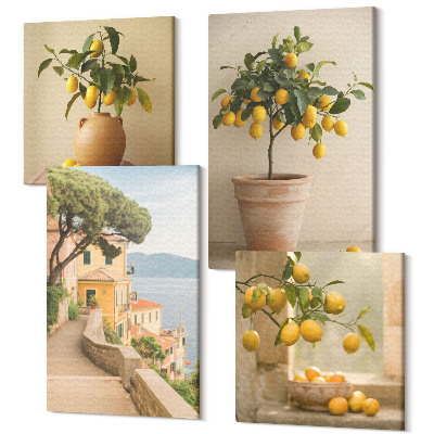 Sada 4 obrazů Citronové stromy v květináčích a na okně
