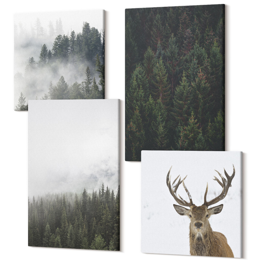 Sada 4 obrazů Zelené lesy v mlhavém přírodním prostředí