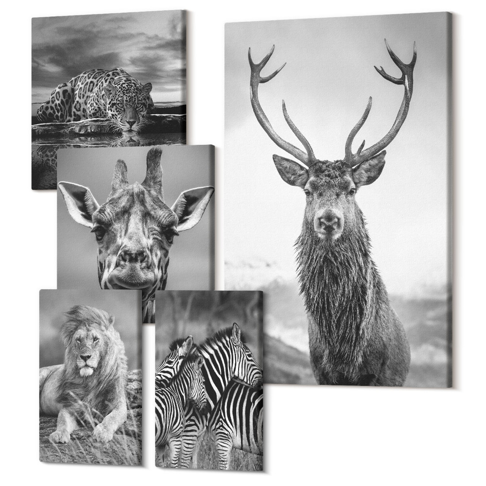Sada obrazů pentaptych Zvířata v černé a bílé z přírody a divoké zvěře
