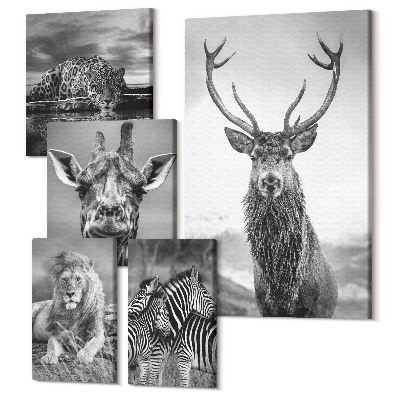 Sada obrazů pentaptych Zvířata v černé a bílé z přírody a divoké zvěře