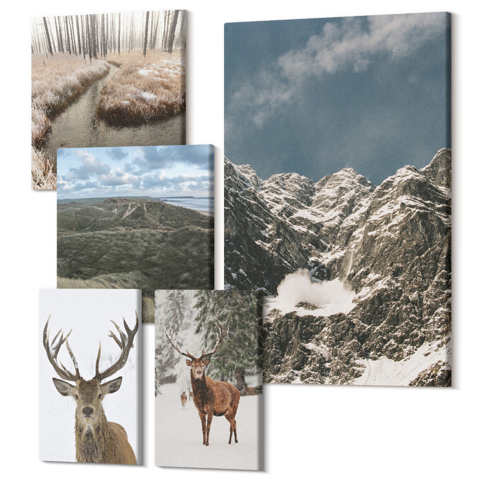 Sada obrazů pentaptych Divoká příroda a majestátní horské krajiny
