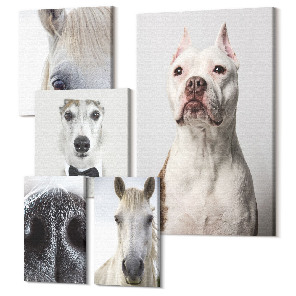 Sada obrazů pentaptych Portréty domácích mazlíčků v moderním stylu