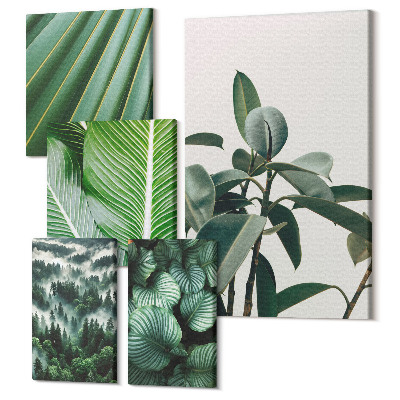 Sada obrazů pentaptych Rostlinné inspirace v tropickém a přírodním stylu