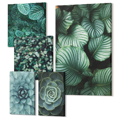 Sada 5 obrazů Rostlinné motivy s listy a sukulenty v přírodním stylu