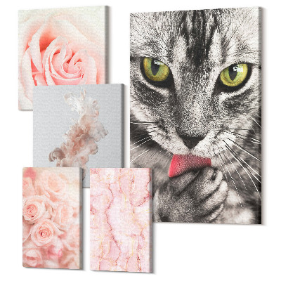 Sada 5 obrazů Kočky a růže v jemných odstínech růžové