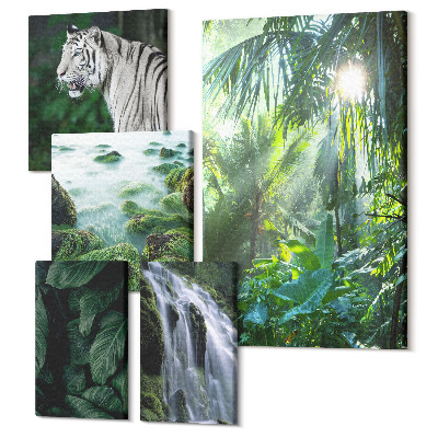 Sada 5 obrazů Tropická příroda s divokými zvířaty a vodopády