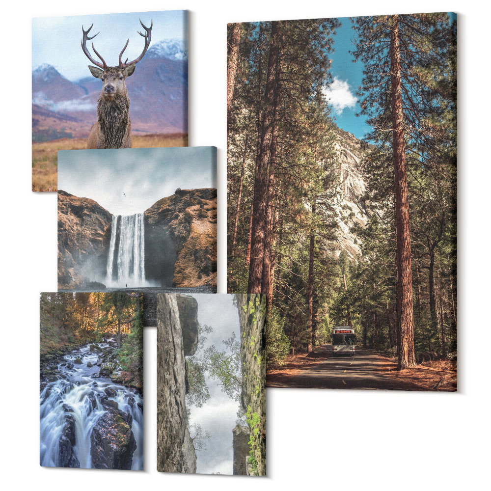 Sada obrazů na zeď pentaptych Přírodní krajiny s vodopády a divokou zvěří
