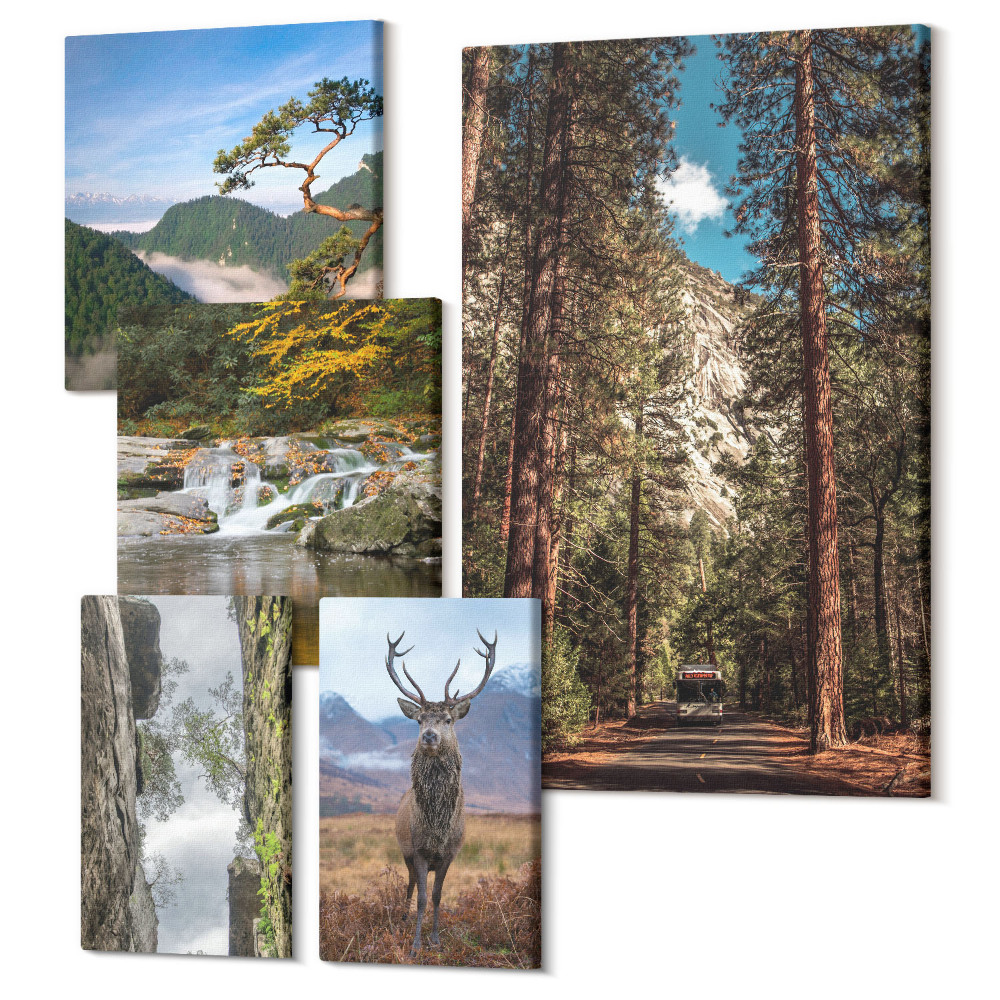 Sada 5 obrazů Přírodní krajiny horských lesů a divoké zvěře